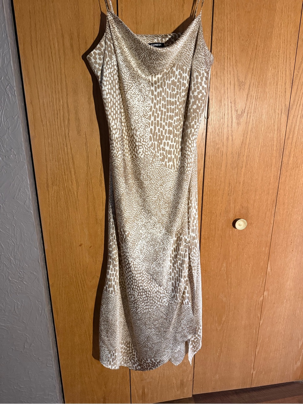 Express Leopard Print Slip Dress